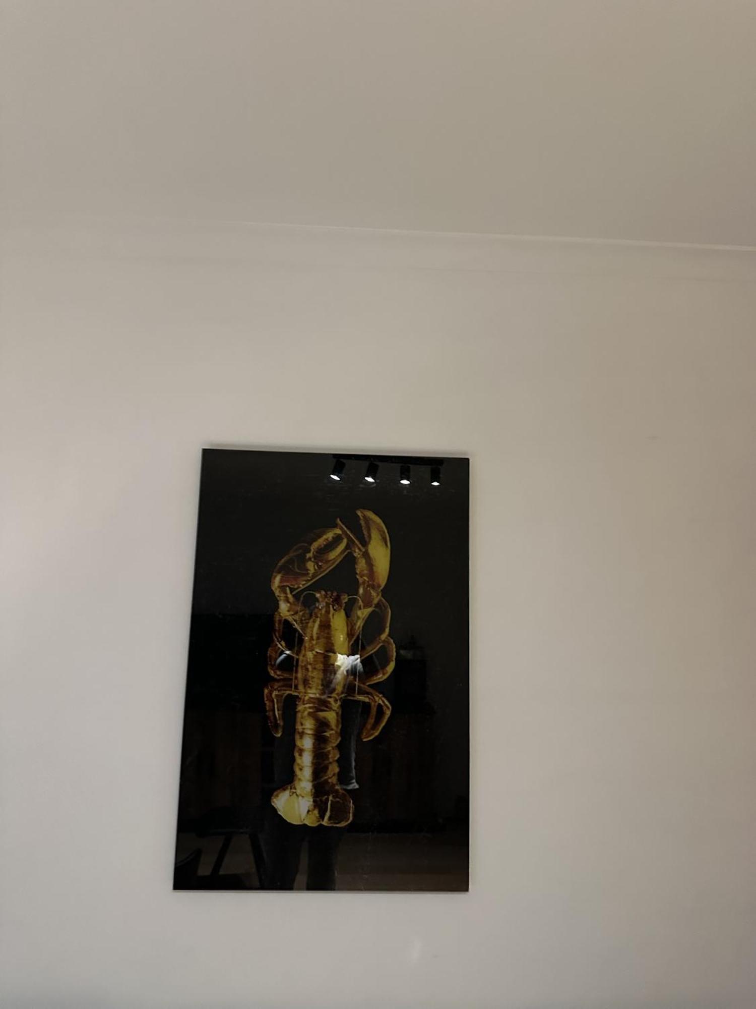Aan Zee En Stad, Super Locatie En Volledig Gerenoveerd! Appartement Oostende